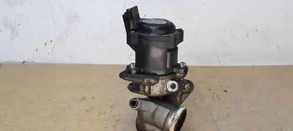 Citroen C4 Grand Picasso EGR valve 9672880080