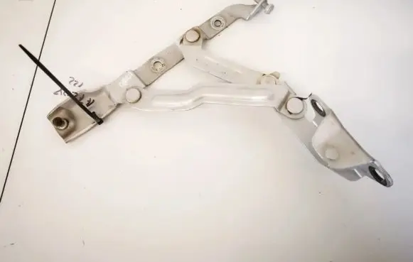 Chrysler 300 - 300C Tailgate/trunk/boot hinge