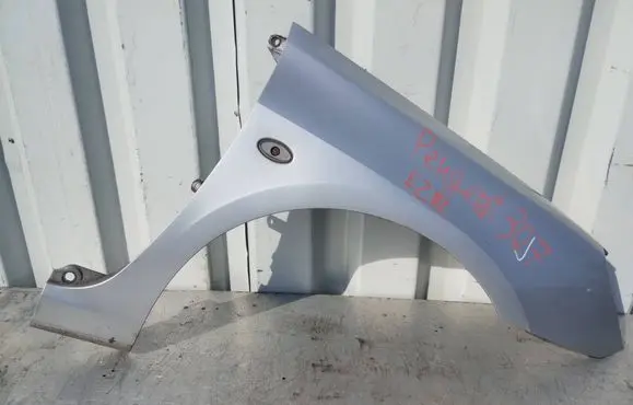 Peugeot 307 Fender X39F1