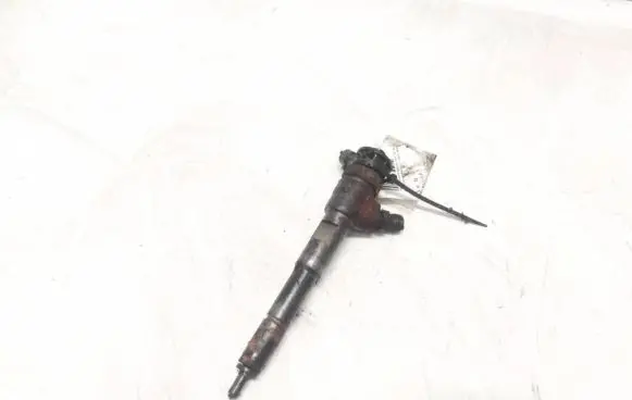 Renault Kangoo II Fuel injector 0445110485 H8201108033