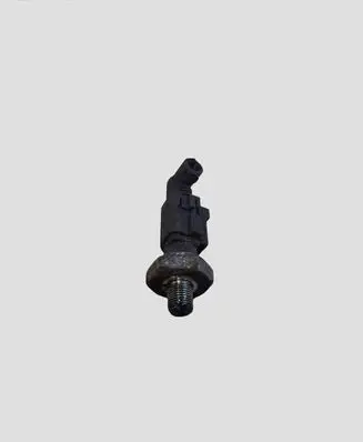 Skoda Yeti (5L) Oil pressure sensor 1J0973081