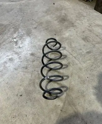Rear coil spring