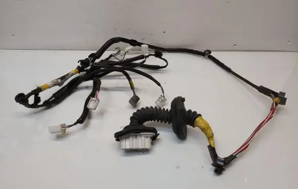 Rear door wiring loom