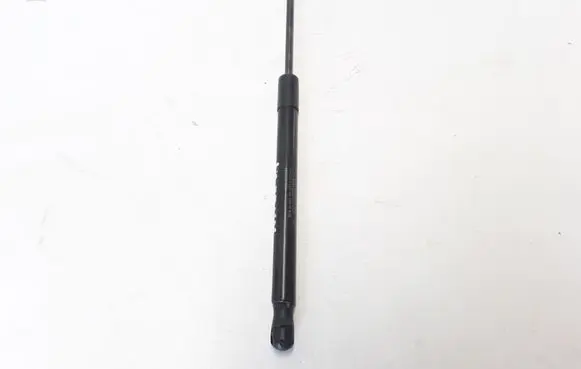 Tailgate strut
