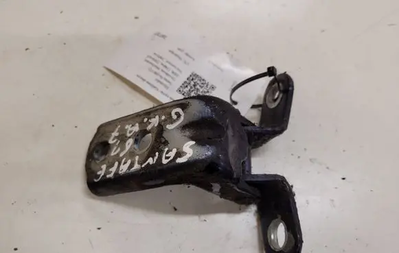 Hyundai Santa Fe Rear door lower hinge