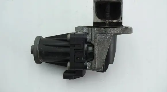 EGR valve