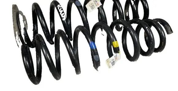 Rear coil spring