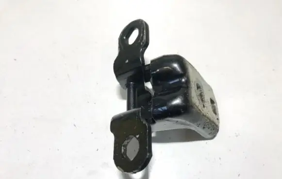 Renault Megane II Rear door lower hinge