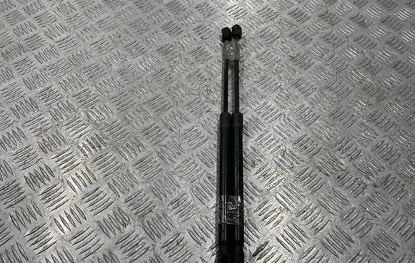 Opel Astra H Tailgate/trunk strut/damper 24463829