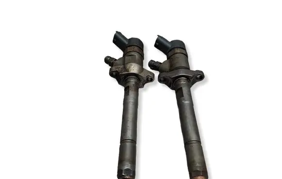 Peugeot Partner Fuel injector S27649820 0445110239