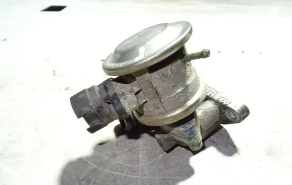 Volkswagen Phaeton EGR valve 021131101E 022131119B