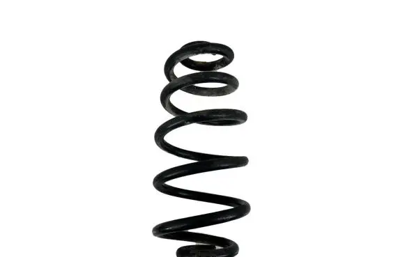 Volkswagen PASSAT B5.5 Rear coil spring