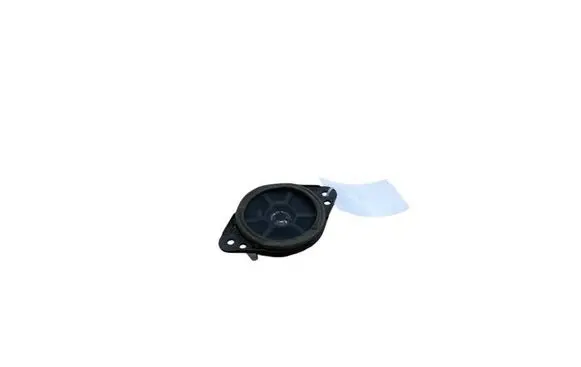 Lexus RX V Front door speaker 8616048400