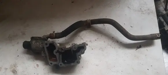 Thermostat/thermostat housing