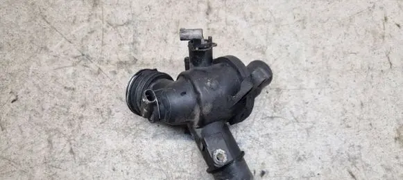 Thermostat/thermostat housing