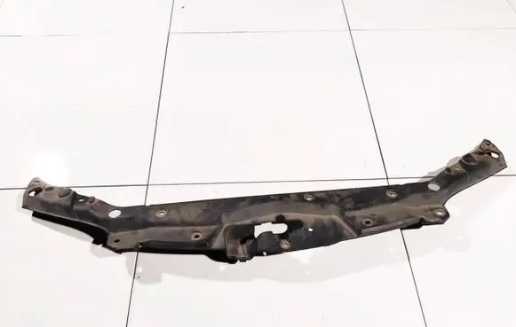 Engine bonnet/hood lock trim molding