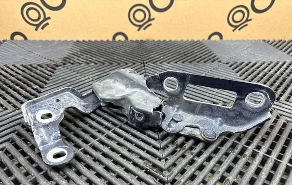 Porsche Panamera (970) Engine bonnet/hood hinges 97051115102