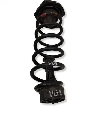 Nissan Qashqai Rear coil spring 550324EA0A