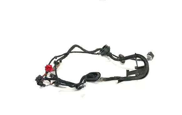 Front door wiring loom