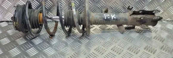 Ford Ecosport Front shock absorber with coil spring