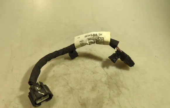 Renault Kangoo III Other wiring loom 253A95887R 42157