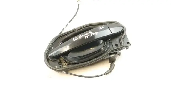 BMW M6 Front door exterior handle 7175362