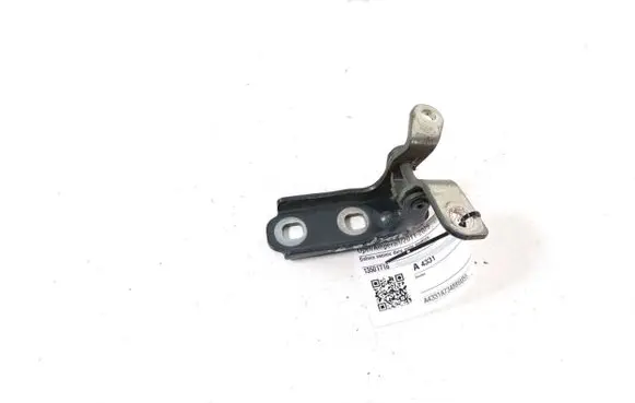 Opel Ampera Rear door lower hinge 13501716