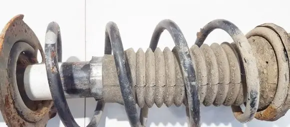 Front coil spring