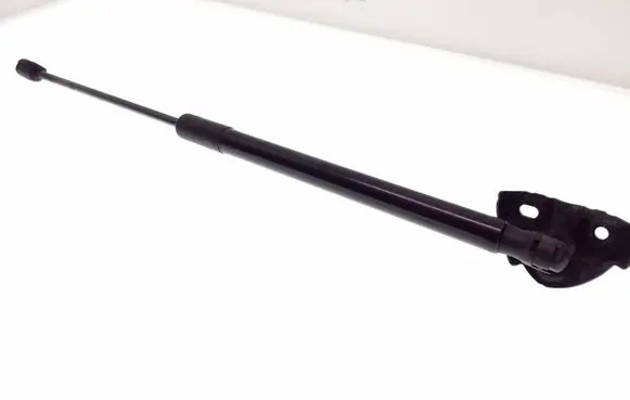 Renault Megane III Tailgate/trunk strut/damper 844300009R
