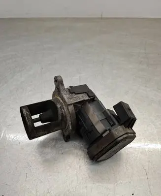 EGR valve
