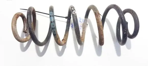 Seat Leon (1M) Rear coil spring