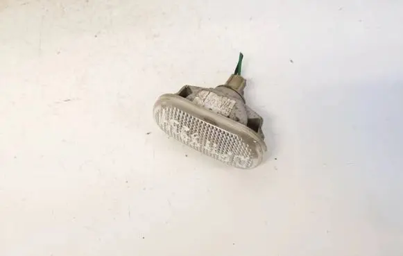 Nissan Qashqai Front fender indicator light e461571