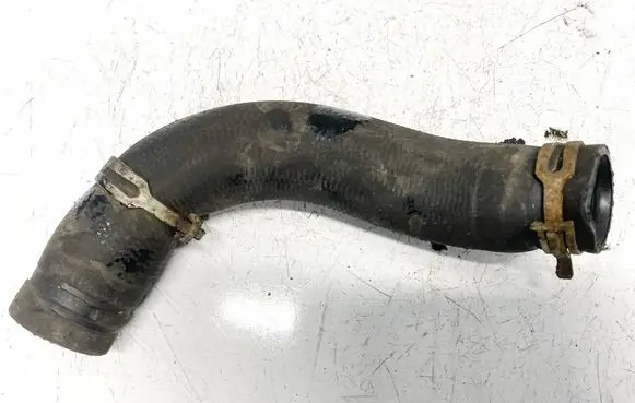 Ford Focus Engine coolant pipe/hose