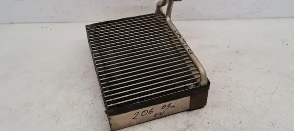 Peugeot 206 Air conditioning (A/C) radiator (interior) 5309580 B6522 70008293005