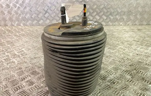 Rear air suspension bag/shock absorber