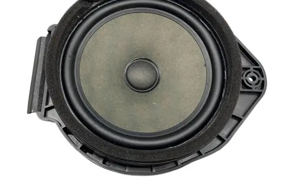 Opel Mokka Front door speaker 13350328