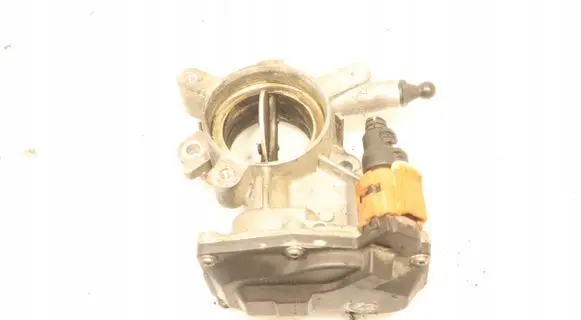 Throttle body valve