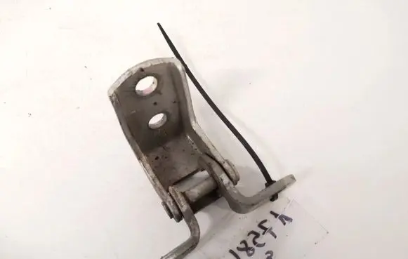 Rear door lower hinge
