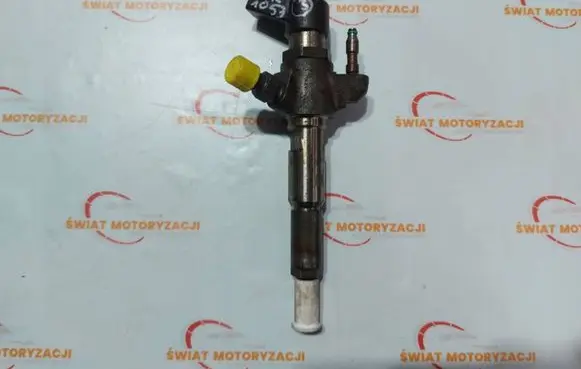 Citroen DS4 Fuel injector 9802448680