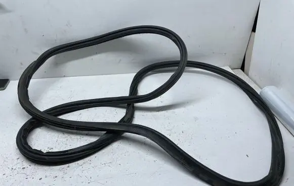 BMW X6 E71 Trunk rubber seal (body) 7175848