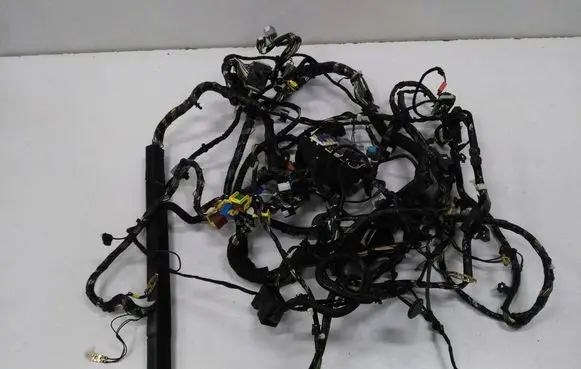 Ford Ecosport Left interior wiring harness FN1T-14A005-DHK FN1T-14A005