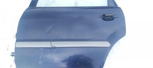 Mitsubishi Space Wagon Rear door melyna
