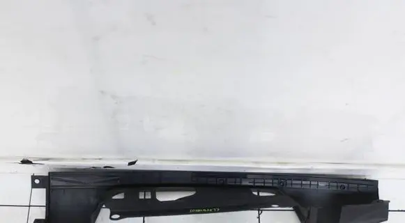 Rear/tail light trim molding