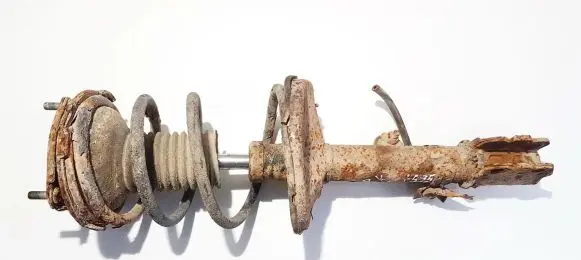 Toyota RAV 4 (XA20) Front shock absorber/damper