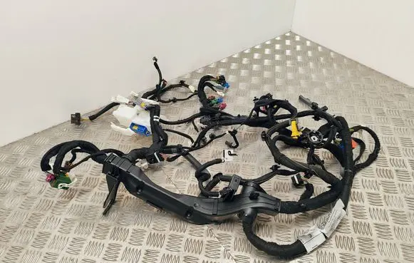 Peugeot 308 Other wiring loom 2E49A38L