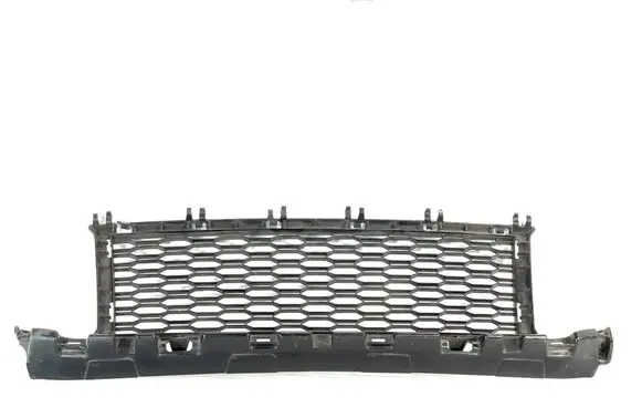 BMW X1 F48 F49 Front bumper lower grill 8075893 21163611