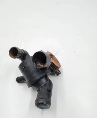 Thermostat/thermostat housing