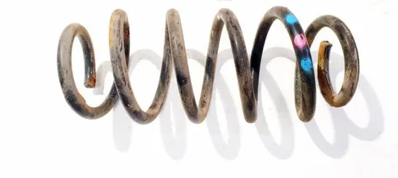 Rear coil spring