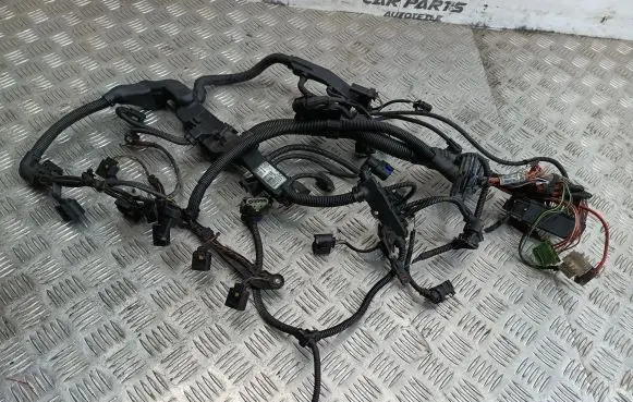 Engine installation wiring loom
