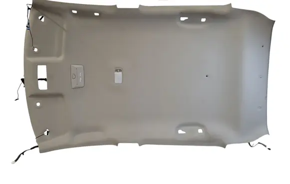 Nissan Leaf II (ZE1) Headlining 572168451 8928513